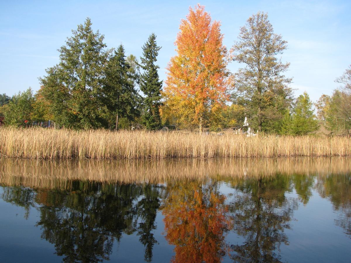 Rezydencja Nad Jeziorem Pestkownica Exterior foto